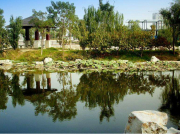 為什么現(xiàn)在南方電機比以前更容易燒壞？